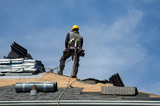 Professional Roofing technician working in New Port Richey, FL